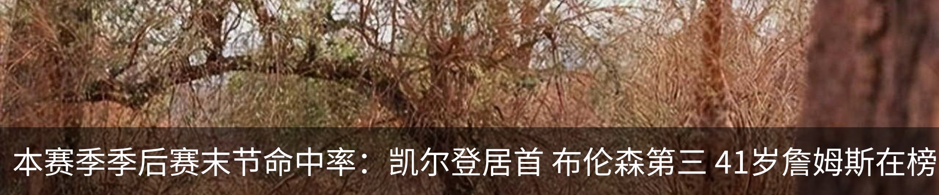 新闻中心